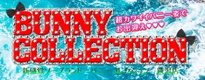 バニーコレクション新潟